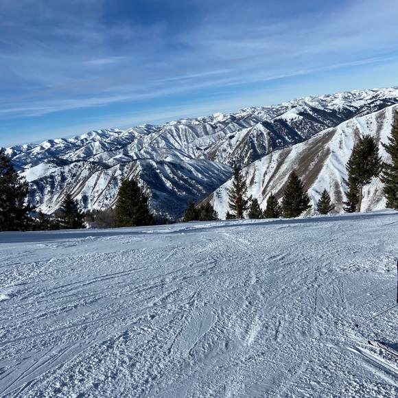 Meet your Posher, Mary - Picture 1 of 1